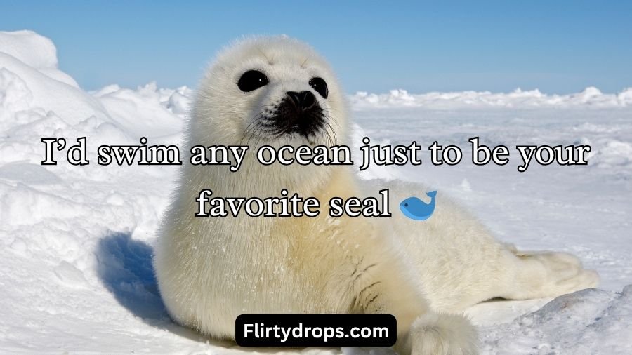 Seal Pickup Lines