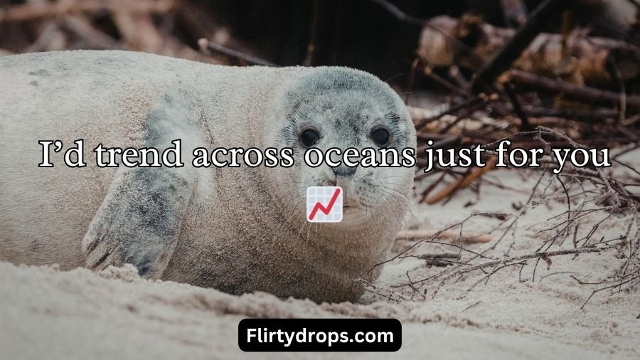 Seal Pickup Lines