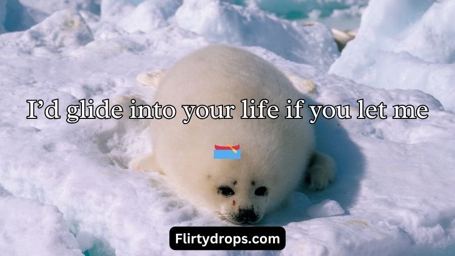 Seal Pickup Lines