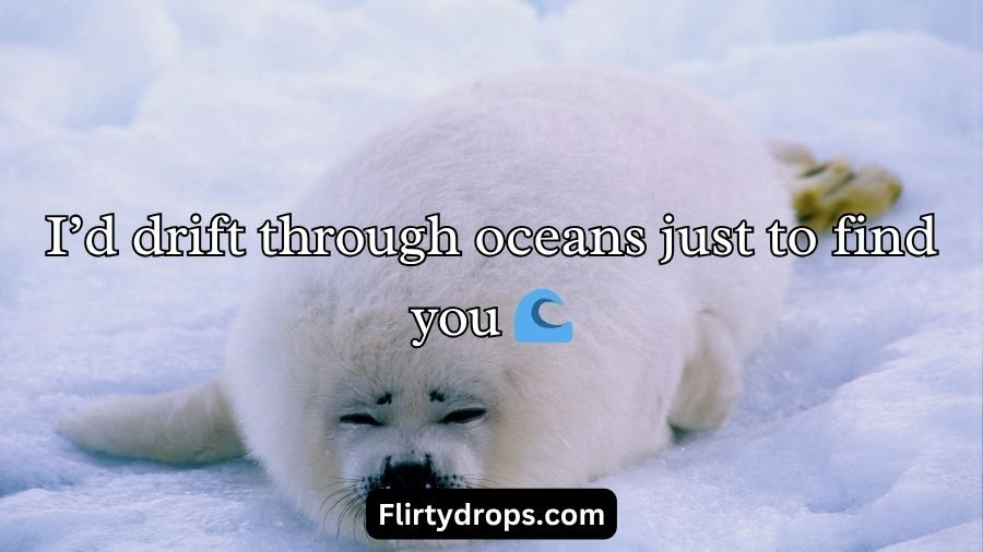Seal Pickup Lines