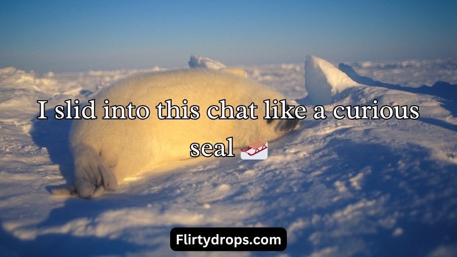 Seal Pickup Lines