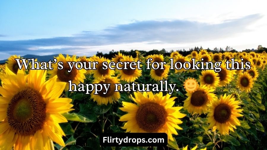 Sunflower Rizz Lines