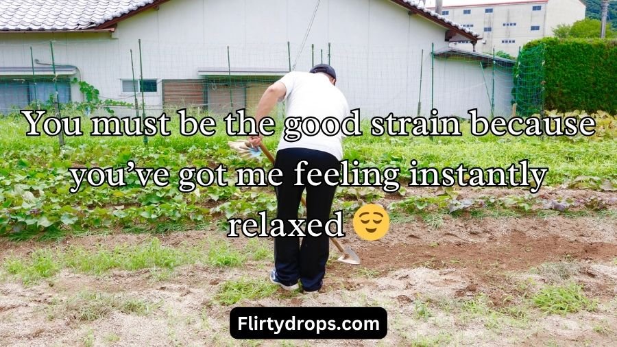 Weed Pickup Lines