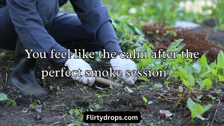 Weed Pickup Lines