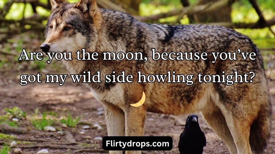 Wolf Pick Up Lines