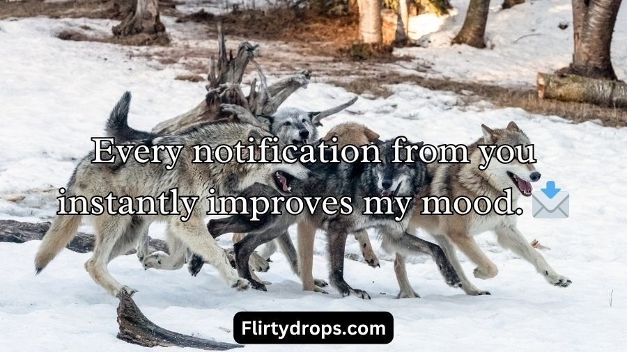 Wolf Pick Up Lines