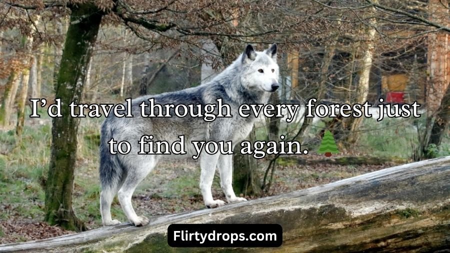 Wolf Pick Up Lines