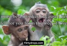 Monkey Pick Up Lines Monkey Pick Up Lines