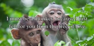 Monkey Pick Up Lines Monkey Pick Up Lines