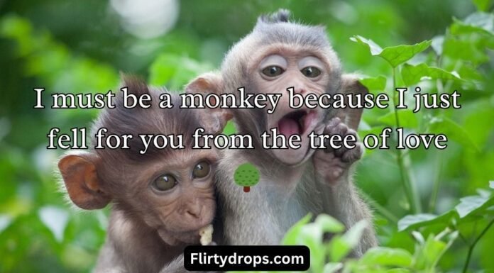 Monkey Pick Up Lines Monkey Pick Up Lines