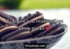 Oreo Pick Up Lines Oreo Pick Up Lines