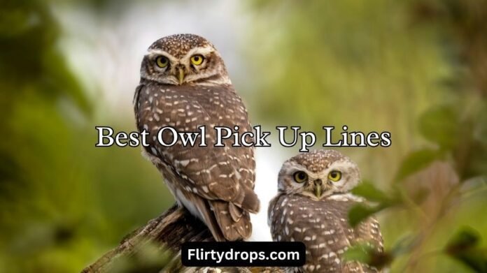 Best Owl Pick Up Lines Best Owl Pick Up Lines