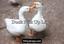 Duck Pick Up Lines Duck Pick Up Lines