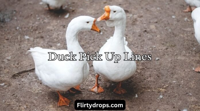 Duck Pick Up Lines Duck Pick Up Lines
