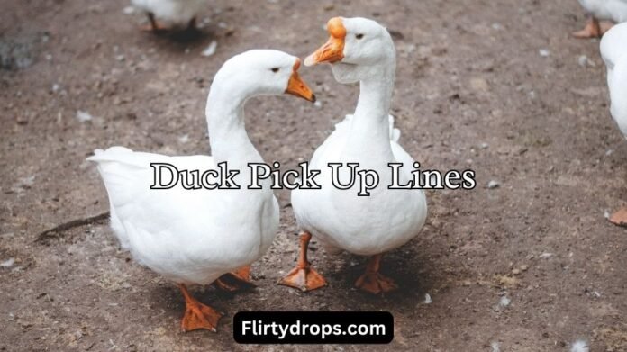 Duck Pick Up Lines Duck Pick Up Lines