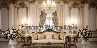 Furniture Pickup Lines Furniture Pickup Lines