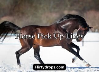 Horse Pick Up Lines Horse Pick Up Lines