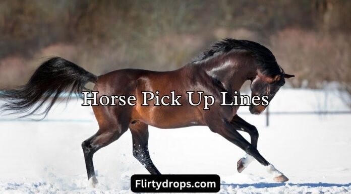 Horse Pick Up Lines Horse Pick Up Lines