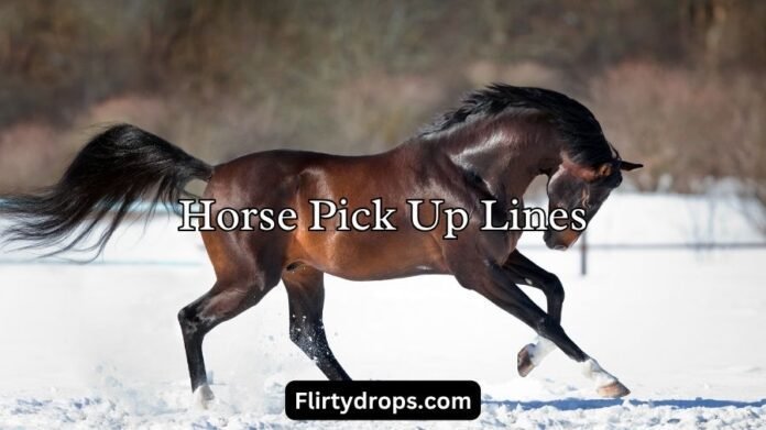 Horse Pick Up Lines