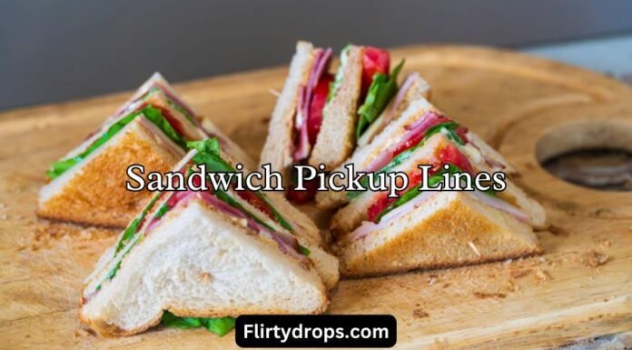 Sandwich Pickup Lines Sandwich Pickup Lines