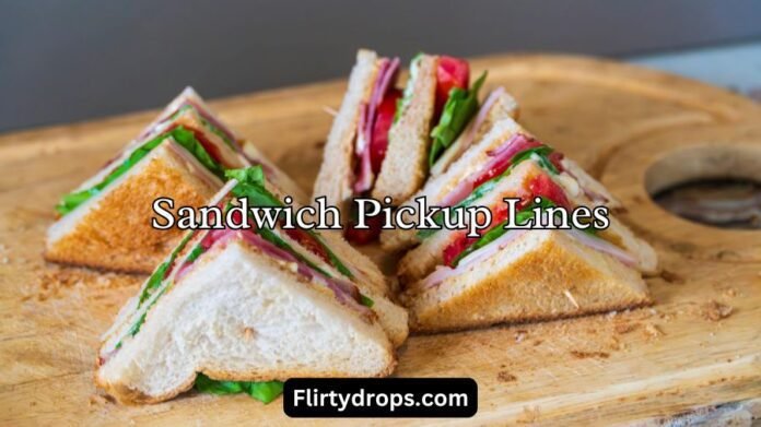 Sandwich Pickup Lines Sandwich Pickup Lines