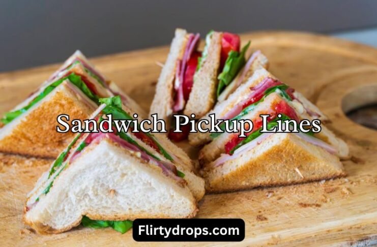 Sandwich Pickup Lines Sandwich Pickup Lines