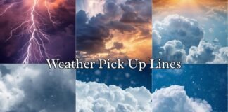 Weather Pick Up Lines Weather Pick Up Lines