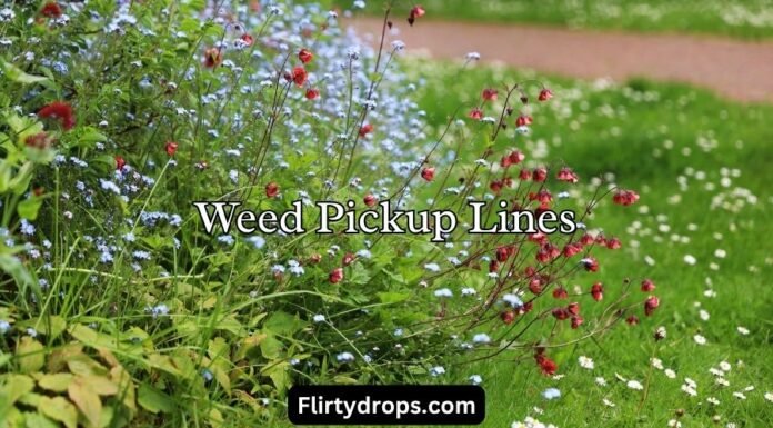 Weed Pickup Lines Weed Pickup Lines