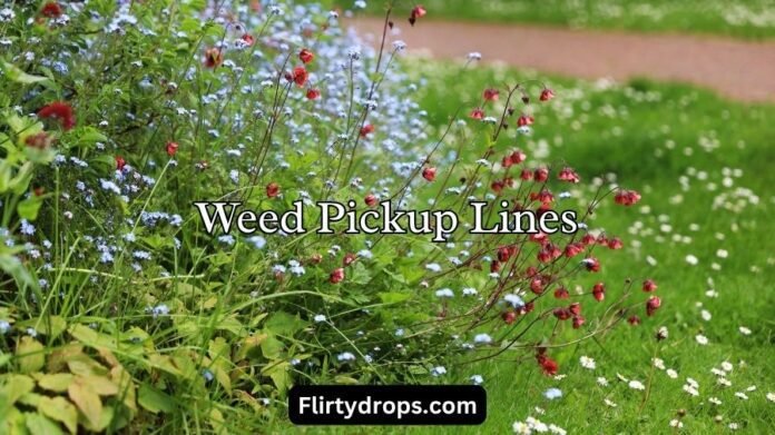 Weed Pickup Lines Weed Pickup Lines
