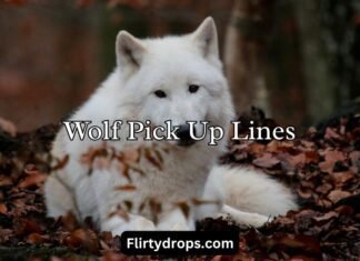 Wolf Pick Up Lines Wolf Pick Up Lines