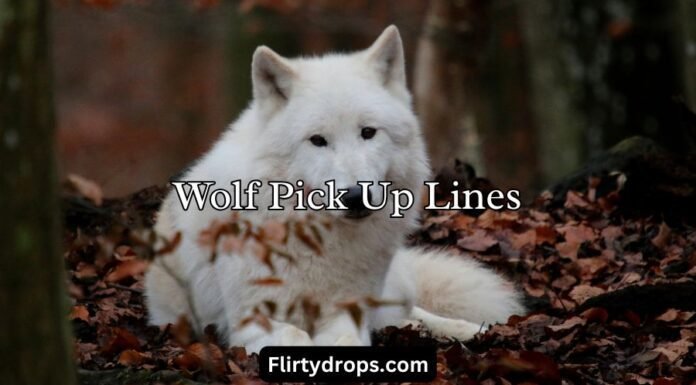 Wolf Pick Up Lines Wolf Pick Up Lines