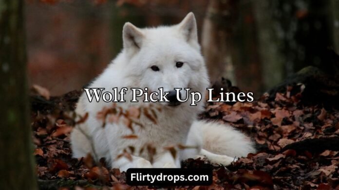 Wolf Pick Up Lines