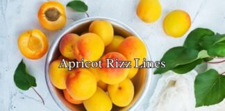 Apricot Rizz Lines Apricot Rizz Lines