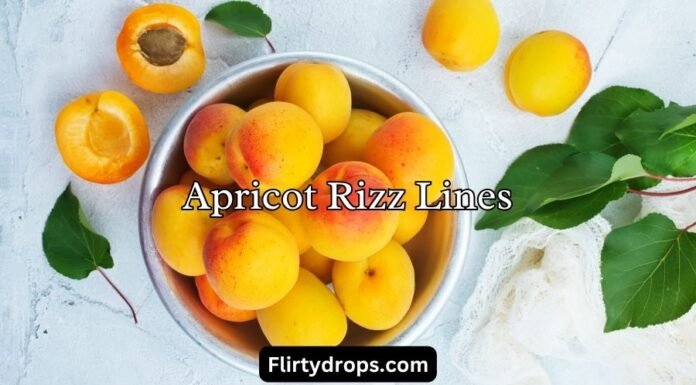 Apricot Rizz Lines Apricot Rizz Lines