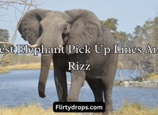 Best Elephant Pick Up Lines And Rizz Best Elephant Pick Up Lines And Rizz