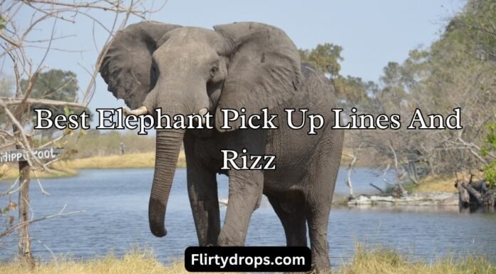 Best Elephant Pick Up Lines And Rizz Best Elephant Pick Up Lines And Rizz