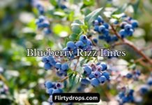 Blueberry Rizz Lines Blueberry Rizz Lines