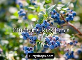 Blueberry Rizz Lines Blueberry Rizz Lines