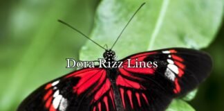 Dora Rizz Lines Dora Rizz Lines