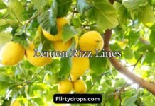 Lemon Rizz Lines Lemon Rizz Lines