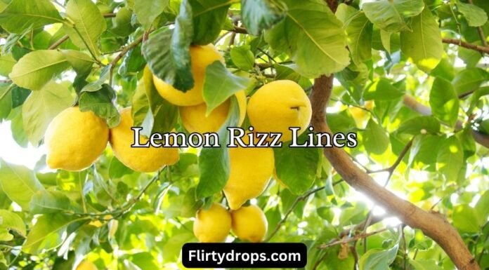 Lemon Rizz Lines Lemon Rizz Lines