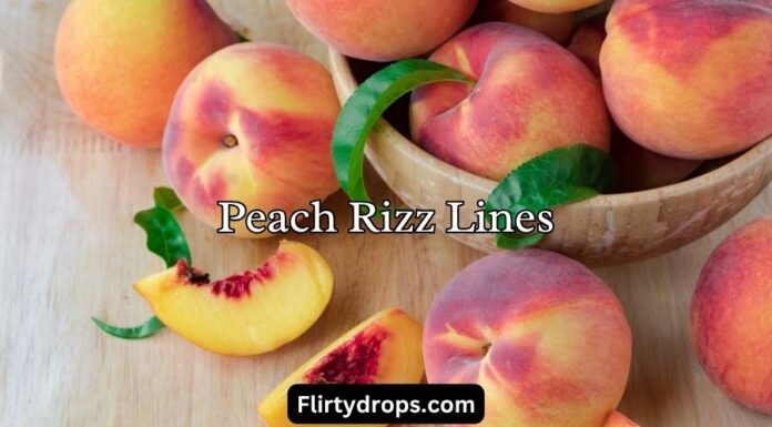 Peach Rizz Lines Peach Rizz Lines