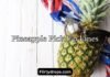 Pineapple Pick Up Lines Pineapple Pick Up Lines