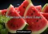 Watermelon Rizz Lines Watermelon Rizz Lines