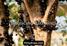 Jabuticaba Rizz Lines Jabuticaba Rizz Lines