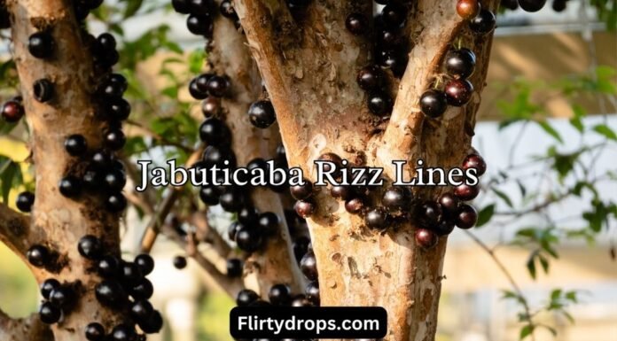 Jabuticaba Rizz Lines Jabuticaba Rizz Lines