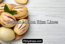 Pepino Melon Rizz Lines Pepino Melon Rizz Lines