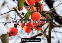 Persimmon rizz lines Persimmon rizz lines