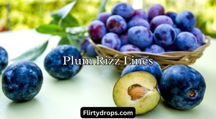 Plum Rizz Lines Plum Rizz Lines