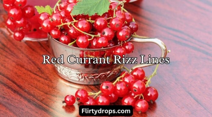 Red Currant Rizz Lines Red Currant Rizz Lines